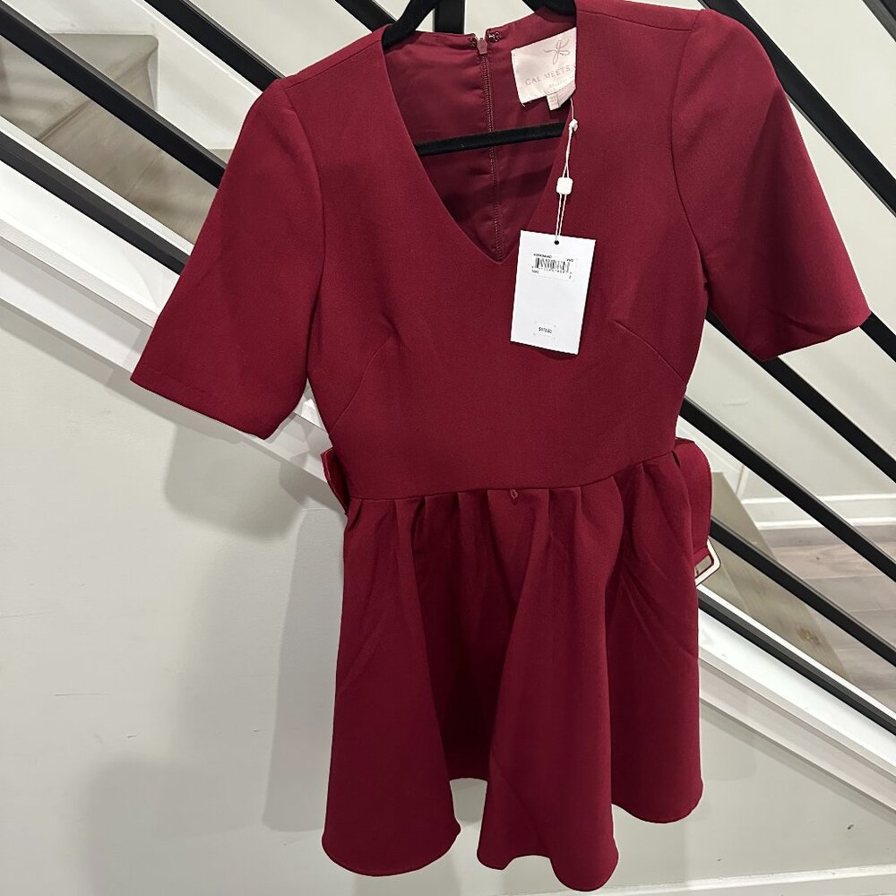 Gal Meets Glam Red/Burgundy Dress